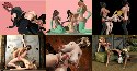 3D monster porn game with big shemale cock